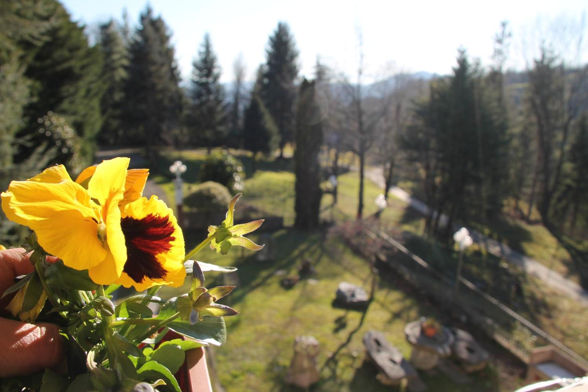 Antica Dimora Del Portico Bed & Breakfast Borgiallo Exterior photo